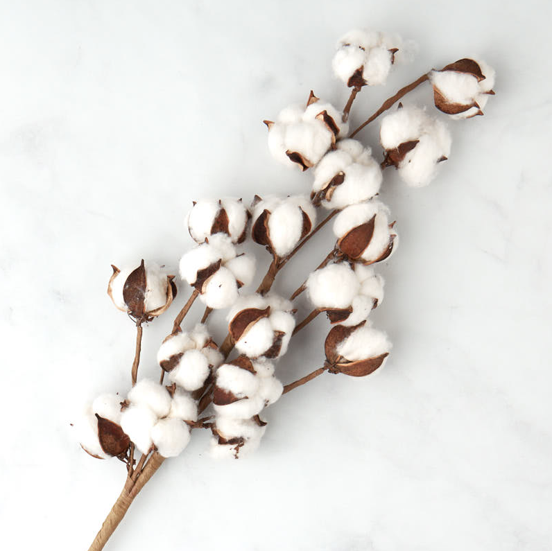 Baby Carrier Safety Tips: How to Choose a Non-Toxic Sling for Your Newborn