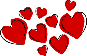 Feedback From Our Contribution Program